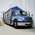 blue rhino