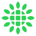 shoals technologies group