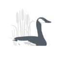 lakeside behavioral health system