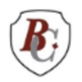 barber collins security services ltd