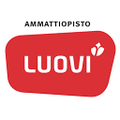 ammattiopisto luovi luovi vocational college