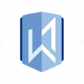 w1 consultoria