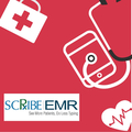 scribeemr systems private limited