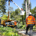 west coast arborists inc