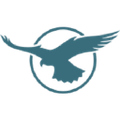 inflite engineering services limited