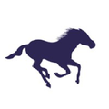 alzayani investments