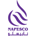 national petroleum services co kuwait