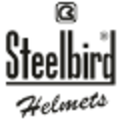 steelbird hi tech india ltd