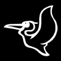 pelican international