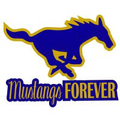 marble falls isd