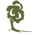 wildwood programs
