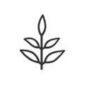 livekindly collective