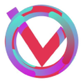 velvet consulting