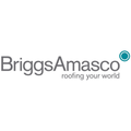 briggs amasco ltd