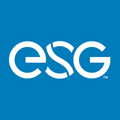 energy systems group esg