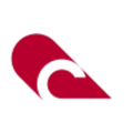 consolidated fabrication and constructors inc