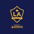 la galaxy