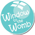 window to the womb