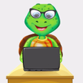 nerdyturtlezcom