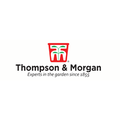 thompson morgan