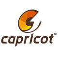 arkance in private limited formerly capricot