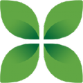 Nexus Hospitals Logo