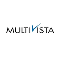 multivista global pvt ltd