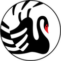 orient blackswan