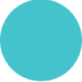 synapsis inc