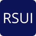 rsui group inc