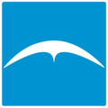 capital insurance group