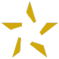 allied mortgage group inc