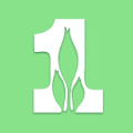first farmers bank trust