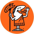 aces llc