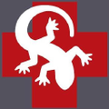 amphibious medics