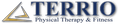 terrio physical therapy fitness inc