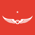 intelligentsia coffee inc