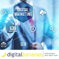digital bananas technology
