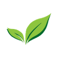enviroscapes todds enviroscapes inc