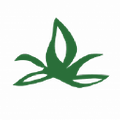opterra solutions inc