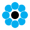 coim usa inc