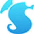 seatex