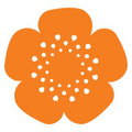 engenderhealth