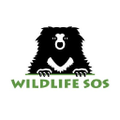 wildlife sos