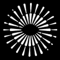 visionspring