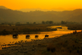 tree of life resorts hotels