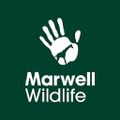 marwell wildlife