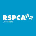 rspca queensland