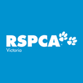 rspca victoria