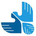 alsalam specialist hospital